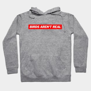Birds aren't real - Pidgeon Surveillance Memes Hoodie